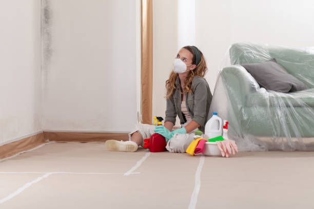 Reliable Mold Remediation contractor in Abingdon, IL by WQB Mold Removal